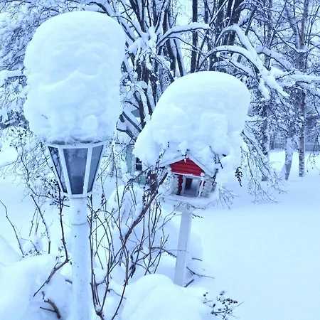 Kultainen Joutsen Bed & Breakfast 3*