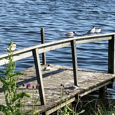 Kultainen Joutsen Frühstückspension 3*