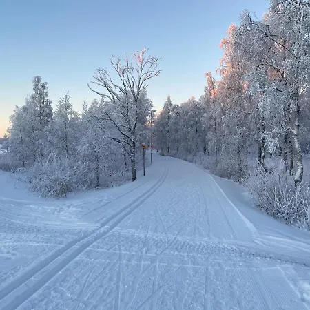 Kultainen Joutsen Frühstückspension Kuusamo