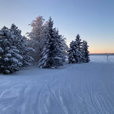 Kultainen Joutsen 3*