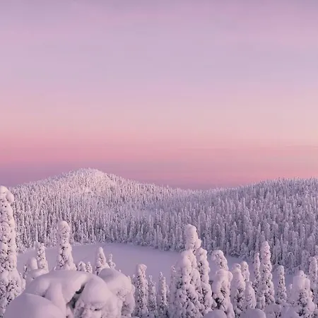 Kultainen Joutsen Bed & Breakfast