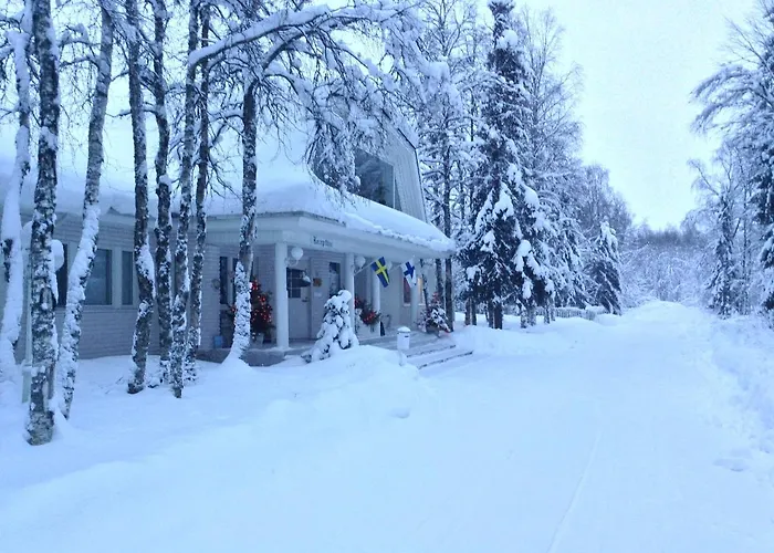 Kultainen Joutsen 3* كوسامْوُ