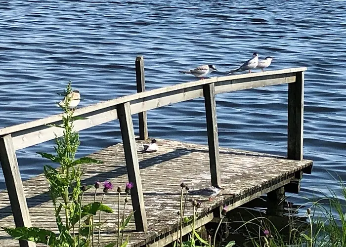 Kultainen Joutsen فندق مبيت وإفطار 3*