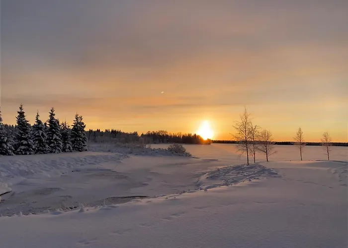 Kultainen Joutsen 3* كوسامْوُ